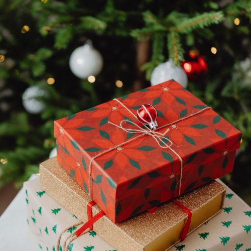 Private Session + At Home Pilates Program